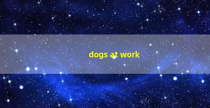 dogs at work